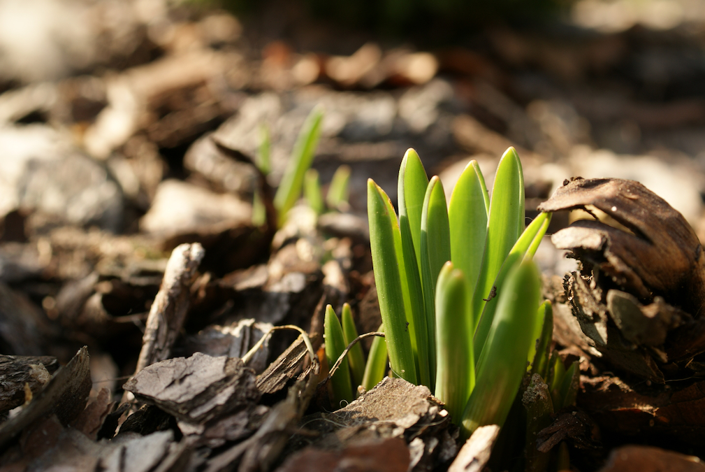 jak mieć więcej energii, jak się lepiej czuć